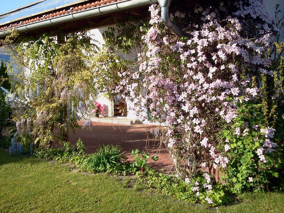 Ferienwohnung Buxheim  Exteriör bild